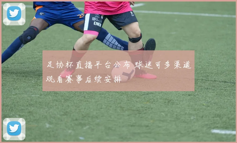 足协杯直播平台公布 球迷可多渠道观看赛事后续安排